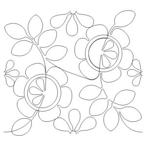 Marigold & Daisies b2b